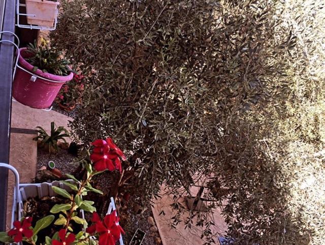 Bella Casetta Guest House ファマグスタ エクステリア 写真